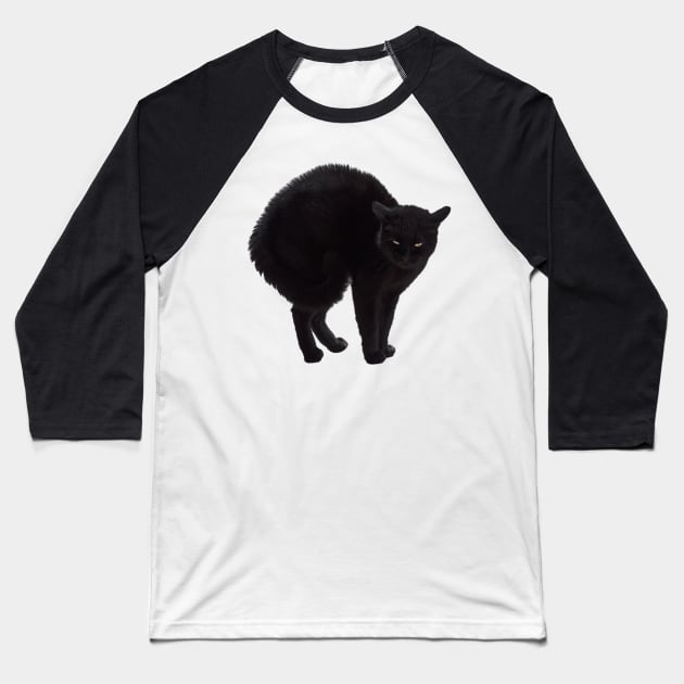 Black Cat, Witch's Familiar Baseball T-Shirt by alsoCAN